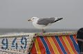 14_DJ-2011-019 Bild0250c